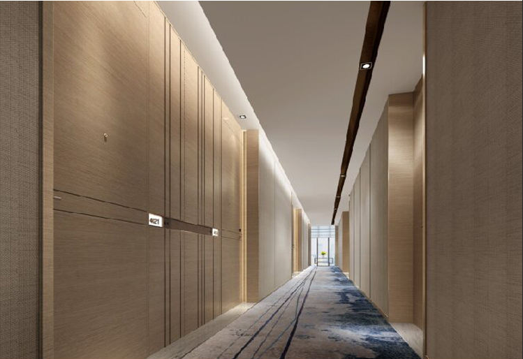 Hotel Door for Disable