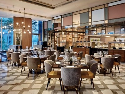 Introduction to Customed Hotel Chairs
