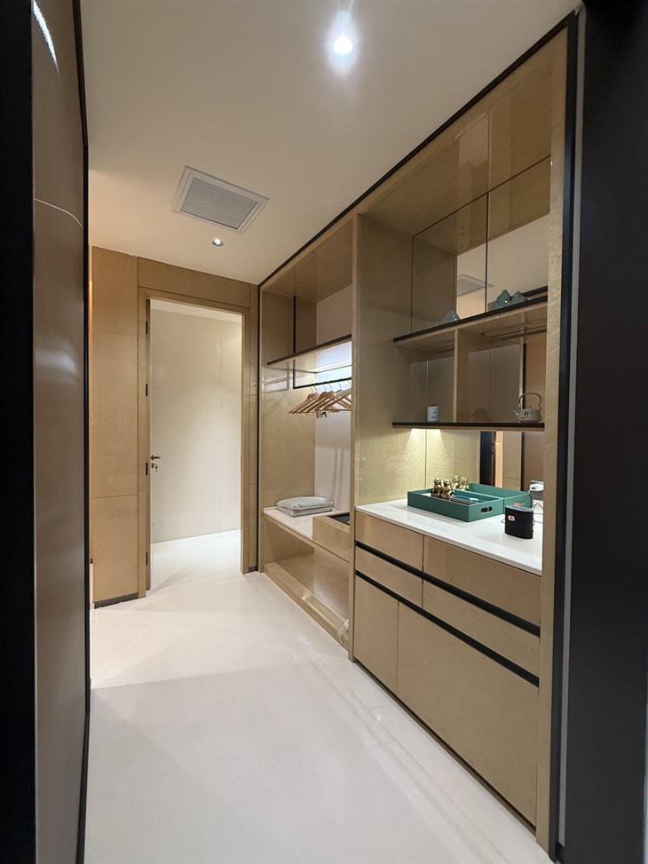 Hotel Walk-in Closet