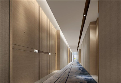 Hotel Door for Disable